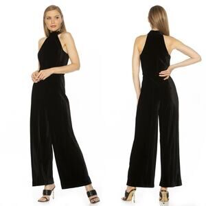 NWT ALEXIA ADMOR MEGHAN VELVET JUMPSUIT size 6